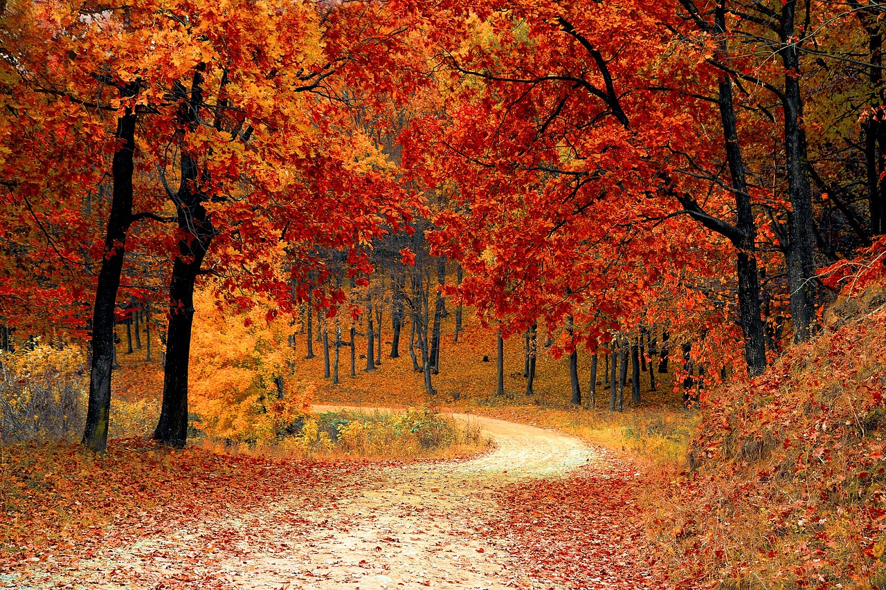 Jesienna magia na wycieczkach: Odkryj piękno natury w sezonie jesieni